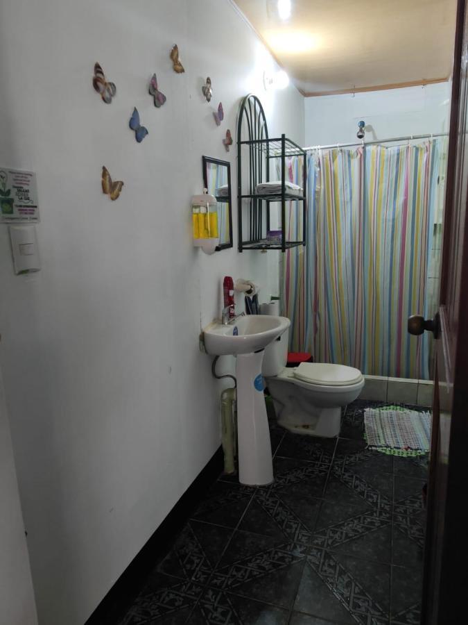 Tortuguero Casa De Playa Green House Apartment Bagian luar foto