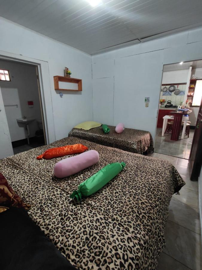 Tortuguero Casa De Playa Green House Apartment Bagian luar foto