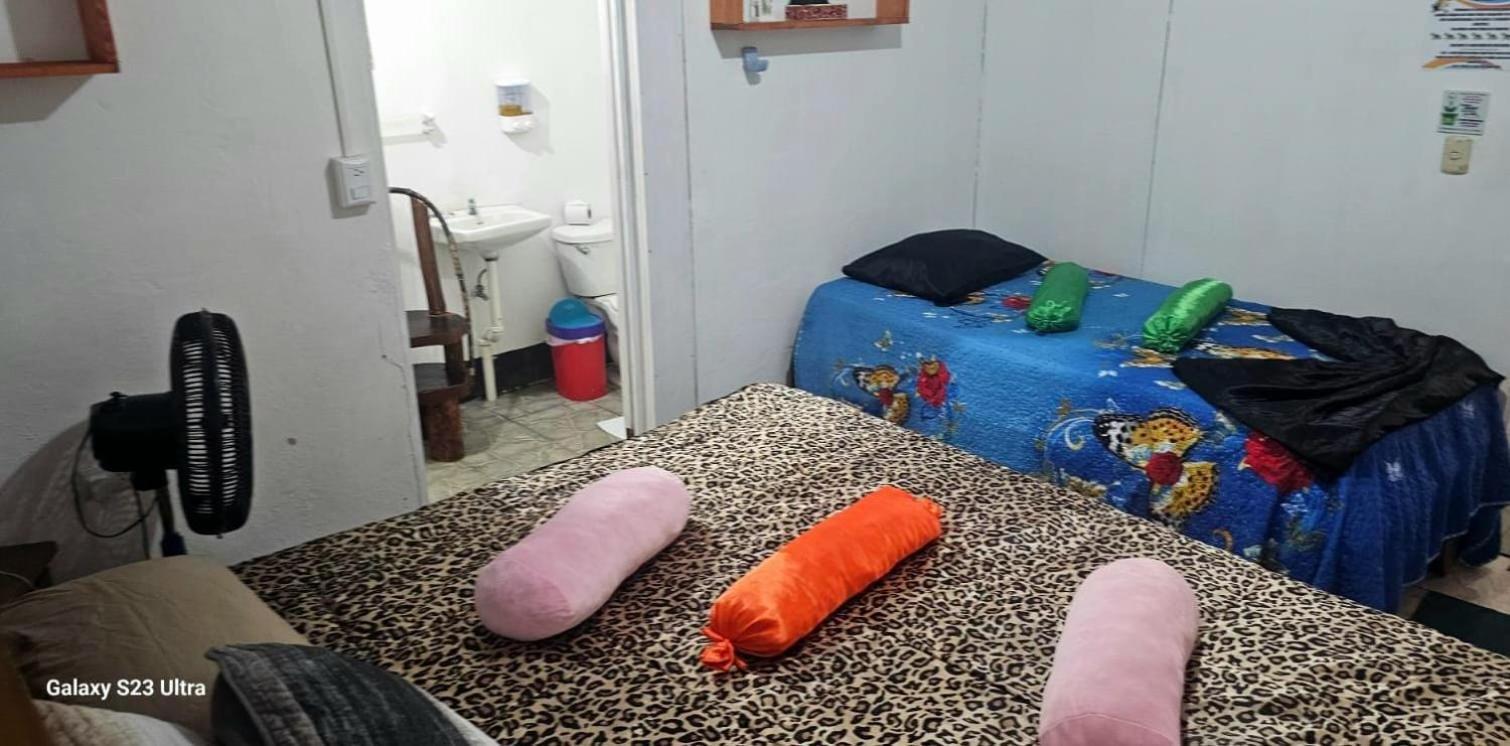 Tortuguero Casa De Playa Green House Apartment Bagian luar foto
