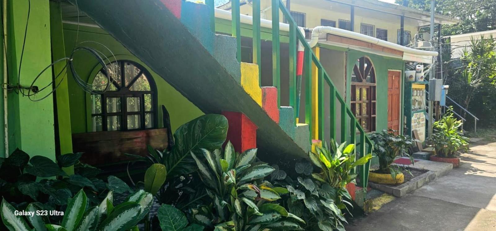 Tortuguero Casa De Playa Green House Apartment Bagian luar foto